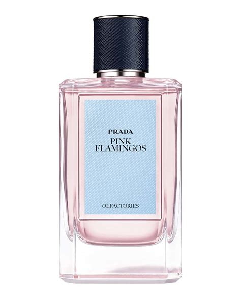 prada parfum pink|prada perfume pink flamingo.